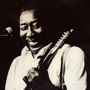 Muddy Waters