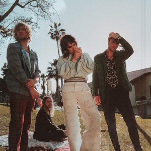 The Struts