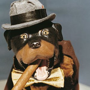 Triumph The Insult Comic Dog