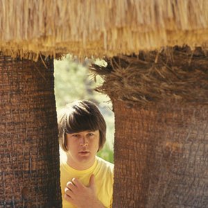 Brian Wilson